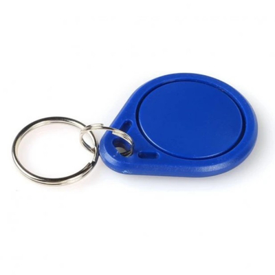 125KHZ EM4100 Protocol Standard RFID Key Chain