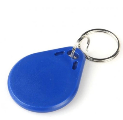 125KHZ EM4100 Protocol Standard RFID Key Chain