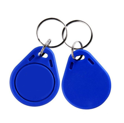 125KHZ EM4100 Protocol Standard RFID Key Chain